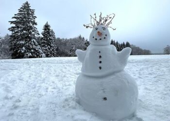 Neige et verglas : la circulation s&rsquo;améliore enfin sur les routes d&rsquo;Île-de-France