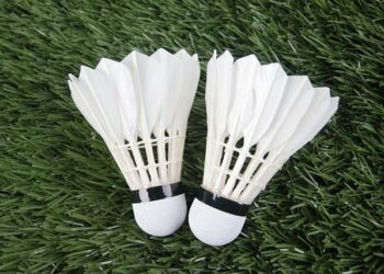 Badminton et tennis de table : la France en route vers les sommets pour 2026