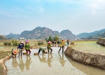 Des agriculteurs en route vers Paris : des arrêtés pour bloquer le passage des tracteurs