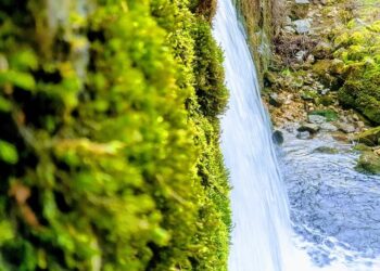 Bourgogne-Franche-Comté Start-ups: Fueling Innovation on the Hunt for Funding Bourgogne-Franche-Comté Start-ups: Fueling Innovation on the Hunt for Funding