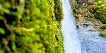 Bourgogne-Franche-Comté Start-ups: Fueling Innovation on the Hunt for Funding