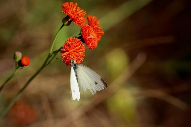 Tempête Emilia : orages violents et rafales puissantes frappent Marseille – ce que révèlent les prévisions