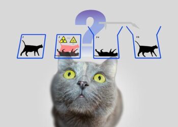 La France se hisse parmi les trois leaders européens de l’innovation en technologie quantique La France se hisse parmi les trois leaders européens de l’innovation en technologie quantique