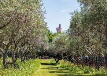 Roxane Philippe et Norbert Delaunay Prennent des Postes Stratégiques chez Havas Health France