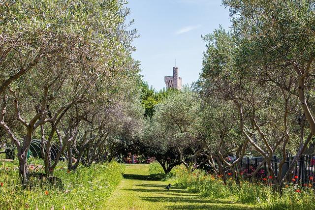 Roxane Philippe et Norbert Delaunay Prennent des Postes Stratégiques chez Havas Health France Roxane Philippe et Norbert Delaunay Prennent des Postes Stratégiques chez Havas Health France
