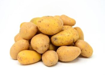 Coupe de France : Les Bordelais renversent la vapeur face à l’ASMUR – Revivez le match en direct !