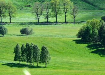 Le secret du succès de KFC France révélé par Isabelle Herman : la qualité gustative au cœur de nos produits