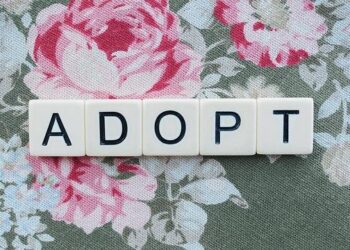 Découvrez comment l&rsquo;IA révolutionne les entreprises : adoption et impacts dévoilés