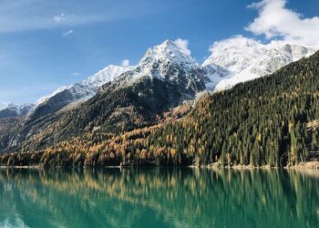 One Health Summit en France : Une approche globale pour protéger la santé humaine, animale et des écosystèmes