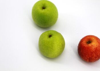 Au One Health Summit de Lyon : des espoirs majeurs face à un avenir incertain