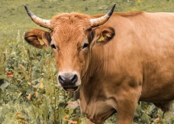 Nestlé Health Science France Unveils Groundbreaking Regenerative Agriculture Initiative