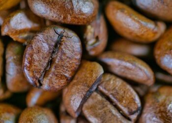 Découvrez le coffee shop fraîchement élu meilleur de France… et il se cache à Montpellier !