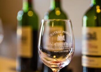 Bordeaux Wine Crisis: France&rsquo;s Bold New Strategy to Revive Its Legendary Vineyards