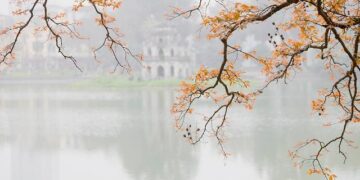 Finding Harmony: A Captivating Screening and Debate on Animal, Plant, and Human Health at the One Health Summit in Lyon