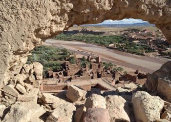 Qui était Saïd Haddou, ancien coureur du Tour de France disparu dans un tragique accident sur l&rsquo;A50 à Marseille ?