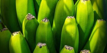 Export : Business France se réinvente pour surmonter la baisse de sa subvention