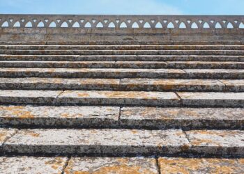 À Nice, le retour spectaculaire des géants des mers enflamme les débats entre habitants et commerçants