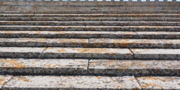 À Nice, le retour spectaculaire des géants des mers enflamme les débats entre habitants et commerçants