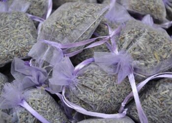 Les températures chutent sous la moyenne en France pour la première fois depuis le 11 juin