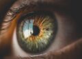 Exploring Vision Golfe 2026: Top Highlights and Essential Insights