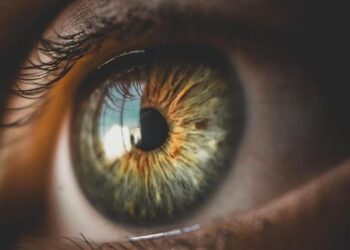 Exploring Vision Golfe 2026: Top Highlights and Essential Insights