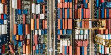 Inside the Export Ecosystem: Meet the Key Players Driving Global Trade from Brittany to Syria