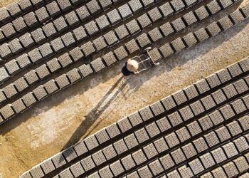 « Exporter 50 % de notre production : le défi audacieux des Tricots Saint-James salué par Business France »