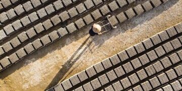 « Exporter 50 % de notre production : le défi audacieux des Tricots Saint-James salué par Business France »