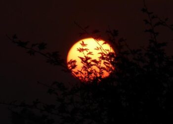 Plongez au cœur de l’éclipse de Soleil : phénomènes, causes et mystères révélés