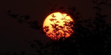Plongez au cœur de l’éclipse de Soleil : phénomènes, causes et mystères révélés