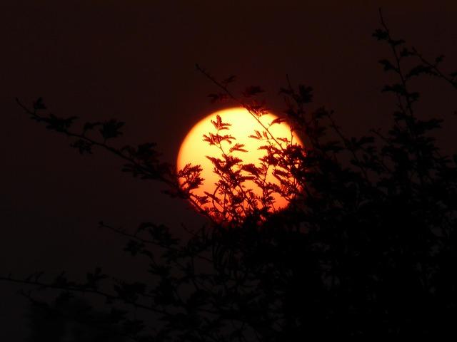 Plongez au cœur de l’éclipse de Soleil : phénomènes, causes et mystères révélés