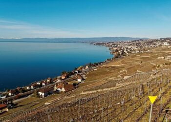 De Lausanne à Nice : 1200 km d’aventure pour un Tour de France 100% féminin