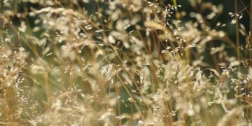 Canicule à Nantes : quels dangers cache l’eau du robinet plus chaude ?