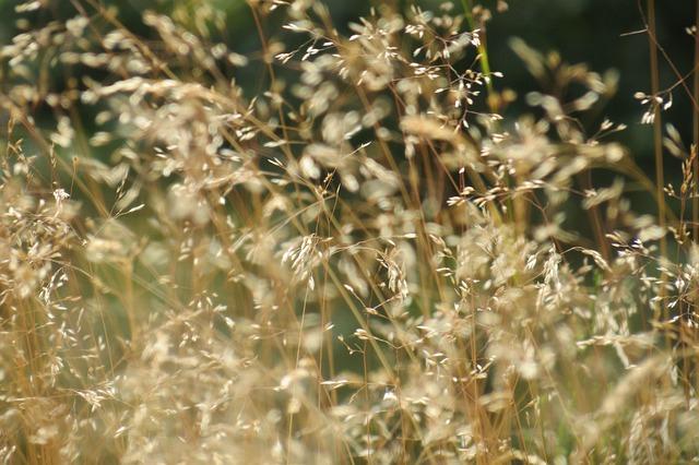 Canicule à Nantes : quels dangers cache l’eau du robinet plus chaude ?