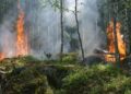 Incendies : surveillance renforcée sur les sites sensibles à l’ouest de Bordeaux