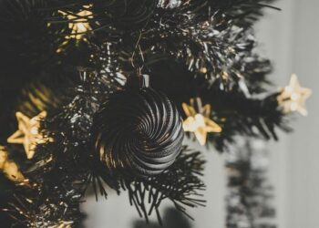 Ne manquez pas le programme festif incontournable sur France 4 pour patienter jusqu’à Noël !
