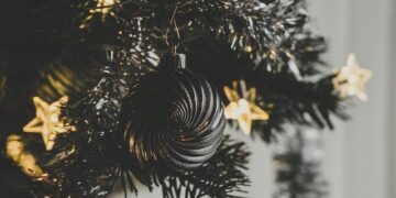 Ne manquez pas le programme festif incontournable sur France 4 pour patienter jusqu’à Noël !