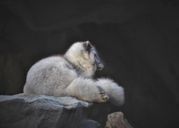 Plongez au cœur du polar à la Dictée En Gare de Lyon Part-Dieu ce mercredi 16 septembre !