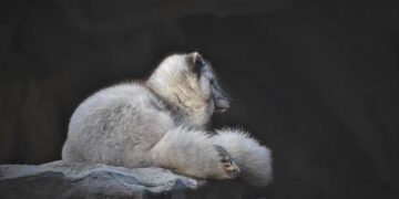 Plongez au cœur du polar à la Dictée En Gare de Lyon Part-Dieu ce mercredi 16 septembre !