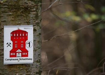 L&rsquo;État doit agir d&rsquo;urgence pour protéger les mineurs des substances cancérogènes