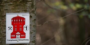 L&rsquo;État doit agir d&rsquo;urgence pour protéger les mineurs des substances cancérogènes