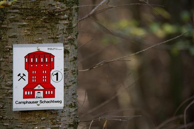 L’État doit agir d’urgence pour protéger les mineurs des substances cancérogènes