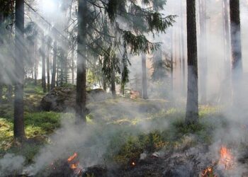Série d’incendies dans le sud de la France : alerte avant le retour imminent de la canicule ce week-end