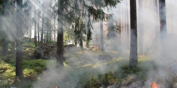 Série d’incendies dans le sud de la France : alerte avant le retour imminent de la canicule ce week-end