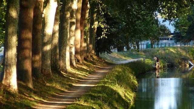 Les incontournables de Toulouse en août 2026 : sorties et événements à ne pas manquer !