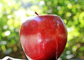 Apple TV s’invite à bord des vols long-courriers d’Air France pour une expérience de divertissement inédite