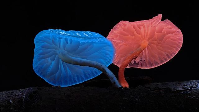 Regarde Moi, quand je me réincarne en Slime : Les larmes de la mer azur – Une aventure émouvante à ne pas manquer !
→
Plongez dans « Regarde Moi, quand je me réincarne en Slime : Les larmes de la mer azur » – Une aventure bouleversante à vivre absolu