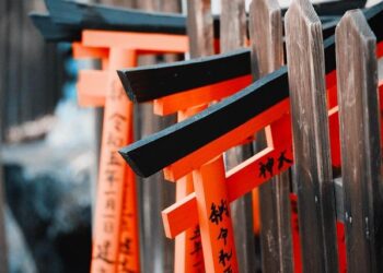 Le cinéma japonais en 2024 : les sorties incontournables qui ont marqué la France