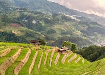 Vietnam and France Set to Ignite Breakthroughs in Quantum Technologies