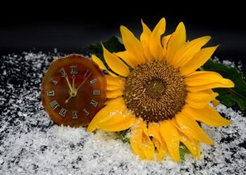 Ce week-end : gagnez une heure de sommeil supplémentaire grâce au changement d’heure !
